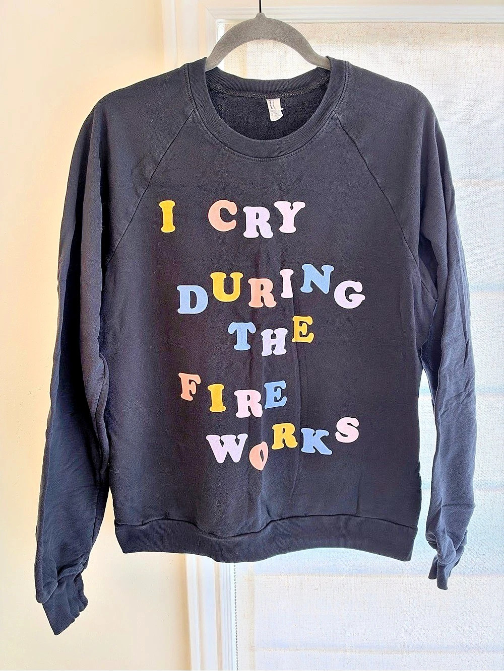 Disney Small Business Fireworks Sweatshirt